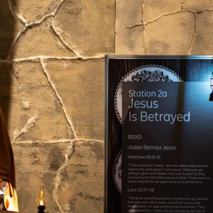 07 OM1A0431-Enhanced-NR